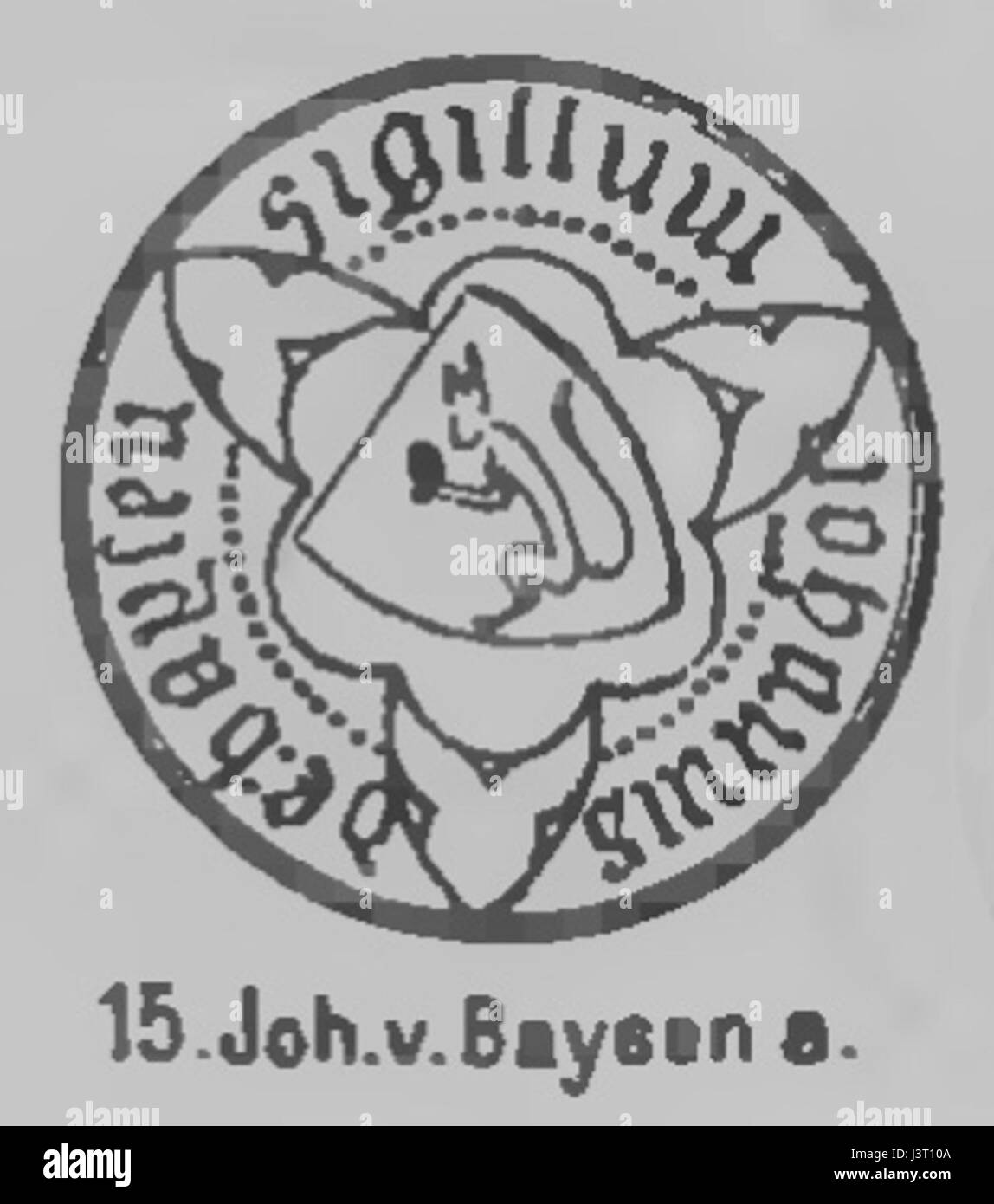 Johannes von Baysen fu una figura storica di spicco, nota per i suoi contributi nel campo della scienza e dell'esplorazione. Il suo lavoro fu influente durante il XVII secolo, e lasciò importanti documenti e documenti sui suoi studi e scoperte. Foto Stock