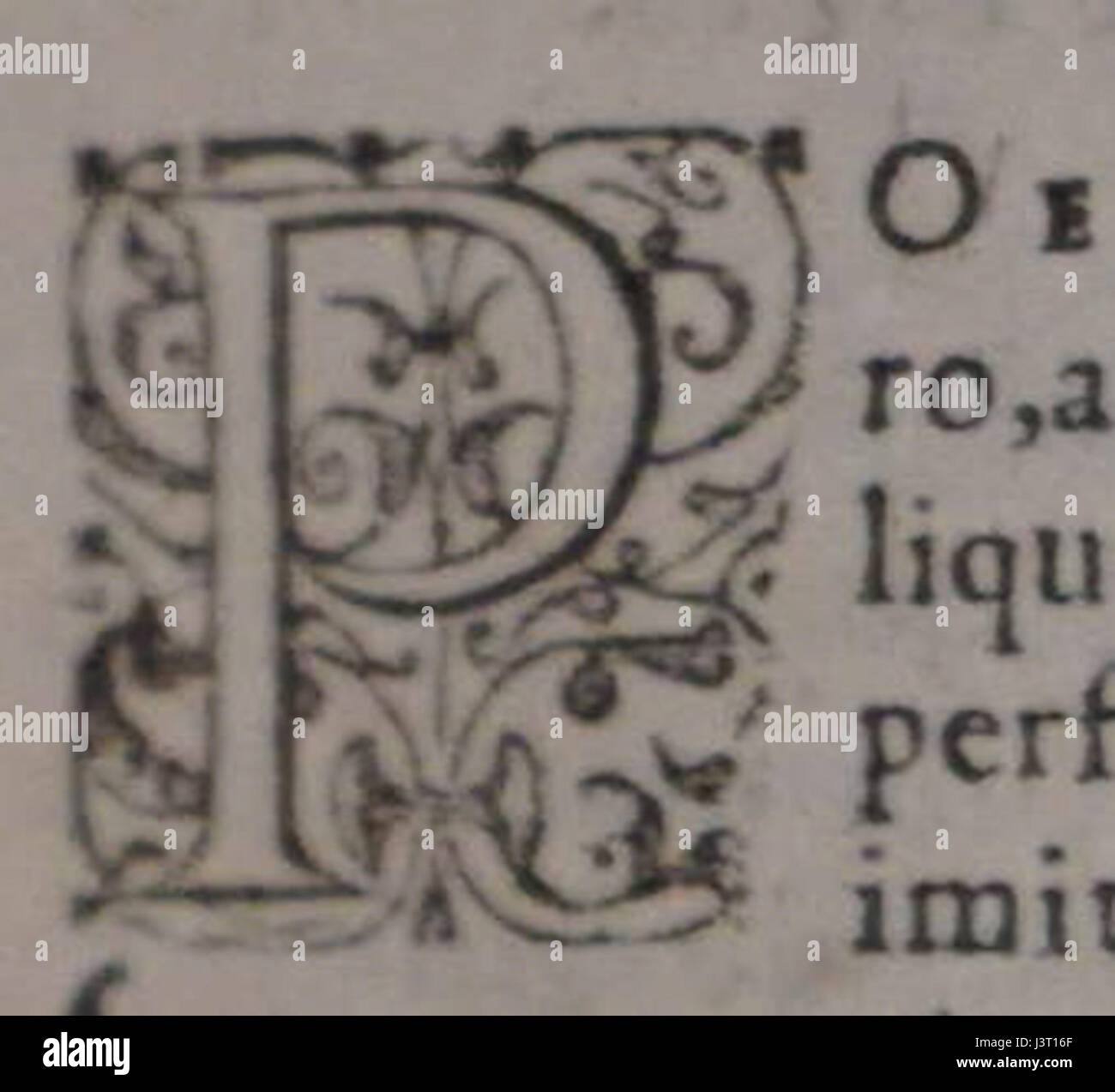 JC Scaliger 08006 Liber quintus P Foto Stock