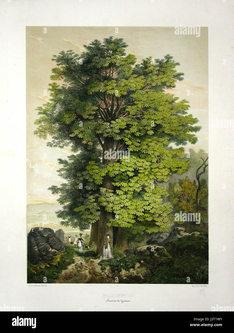 James Duffield Harding è stato un paesaggista inglese del XIX secolo, noto per i suoi dettagliati dipinti ad acquerello di paesaggi rurali e naturali in Gran Bretagna, contribuendo alla divulgazione dell'arte paesaggistica nel suo tempo. Foto Stock