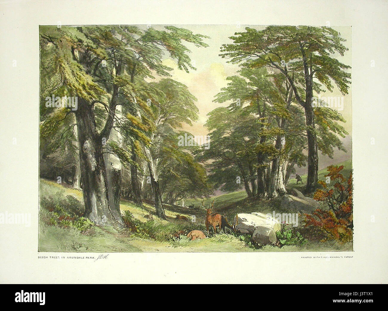 James Duffield Harding è stato un artista inglese, noto per i suoi contributi alla pittura del paesaggio, in particolare per il suo lavoro in acquerelli e mezzi ad olio. Foto Stock