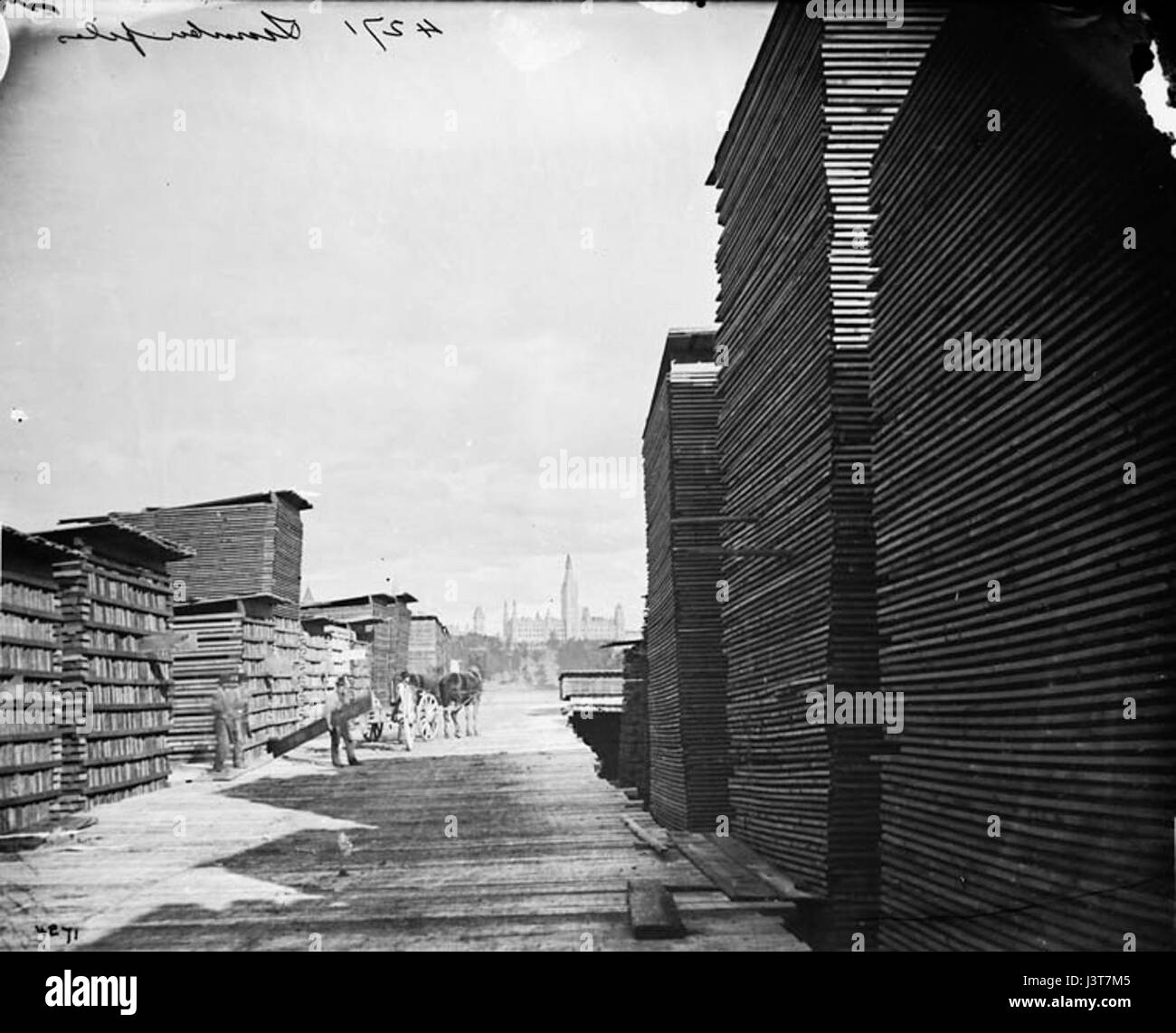 Il terreno di pali di legname di J.R. Booth a Ottawa, Canada, fu un sito chiave per l'industria del legname durante il XIX secolo. Ha svolto un ruolo importante nello sviluppo industriale e commerciale della città. Foto Stock