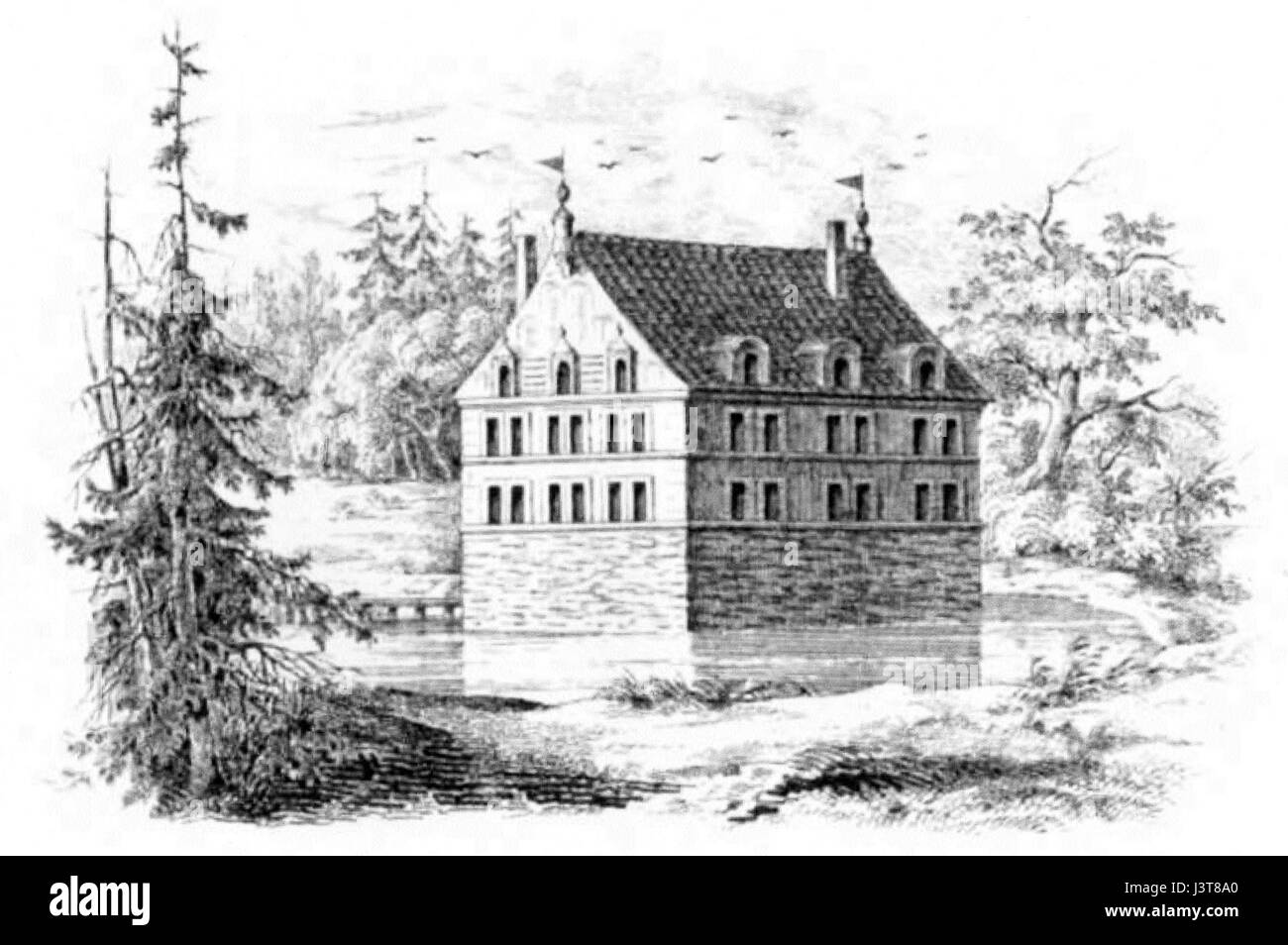 Knoop 01 è un riferimento di archivio probabilmente correlato a uno studio scientifico o storico, che identifica un documento o un oggetto specifico in una raccolta di archivio. Foto Stock