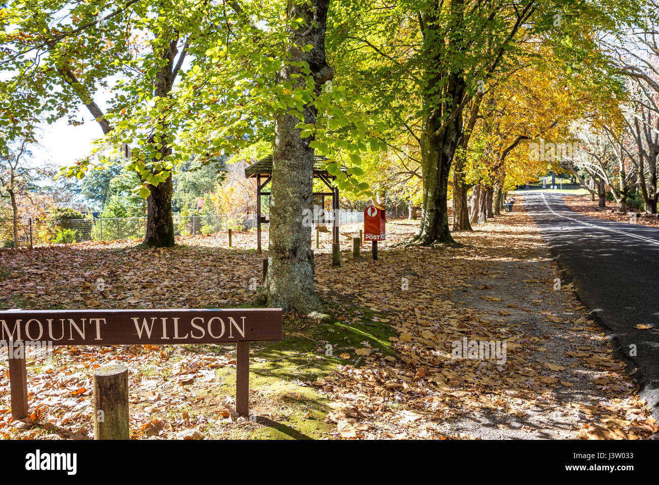I colori autunnali a Mount Wilson villaggio nel Parco nazionale Blue Mountains, Nuovo Galles del Sud, Australia Foto Stock