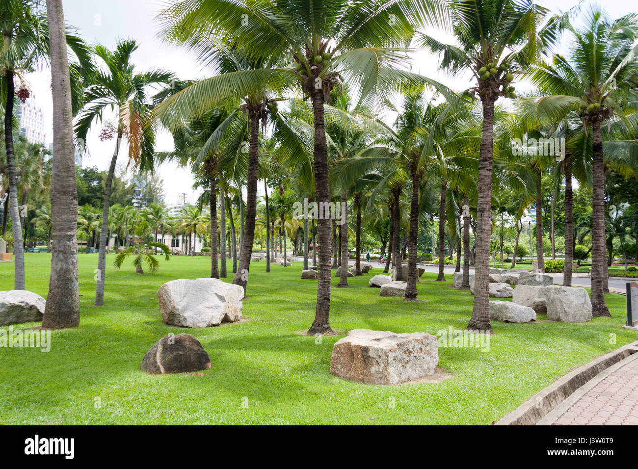 Gli alberi di cocco e rocce n Parco Lumphinee, Bangkok, Thailandia Foto Stock