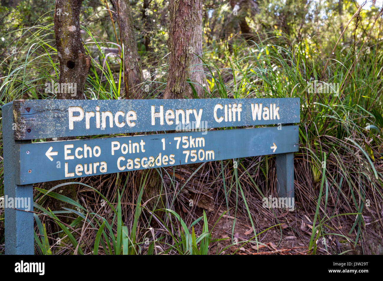Il principe Henry cliff walk nel Parco nazionale Blue Mountains, Nuovo Galles del Sud, Australia Foto Stock