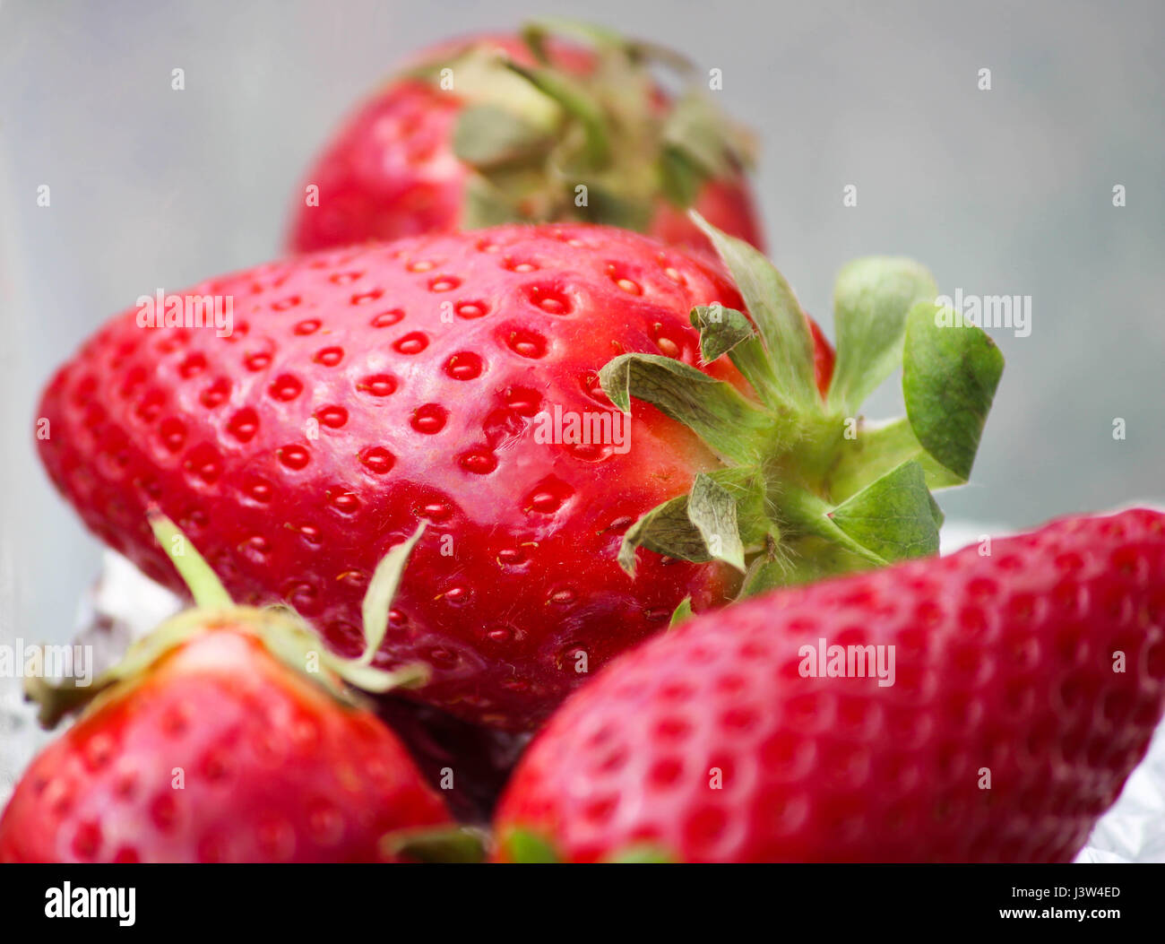 Fragole fresche nella scatola di pranzo Foto Stock