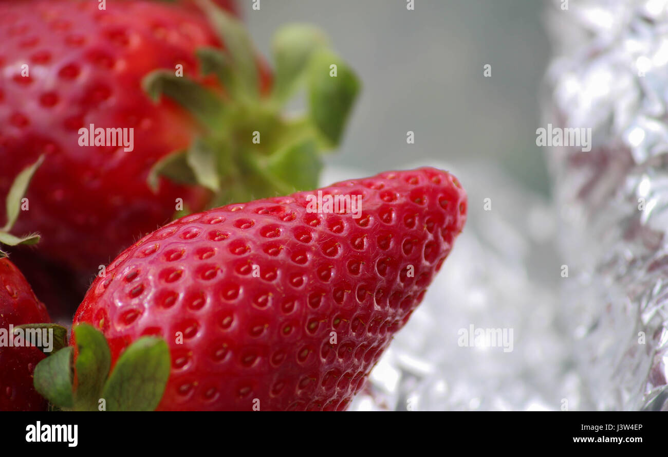 Fragole fresche nella scatola di pranzo Foto Stock