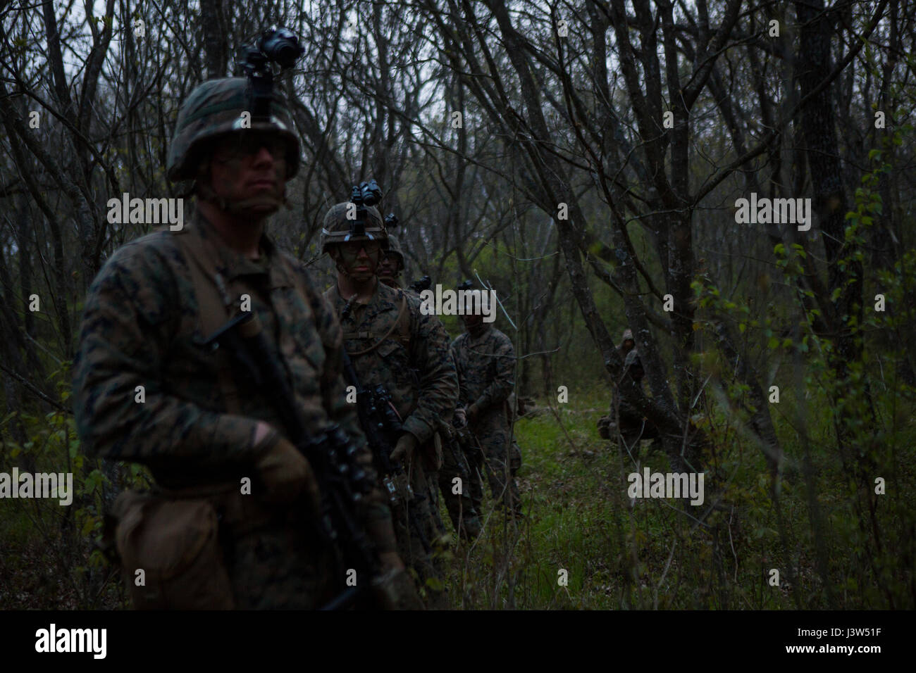 Stati Uniti Marines con il Mar Nero forza rotazionale (BSRF) 17.1 patrol durante l'esercizio Platinum Eagle 17.2 a Babadag Area Formazione, Romania, 27 aprile 2017. Marines condotta patrol base di esercizi per migliorare le tue competenze con la visione notturna ottiche attraverso vari terreni. Con la sua flessibilità e versatilità, BSRF è idealmente adatto per effettuare la cooperazione in materia di sicurezza gli sforzi e una vasta gamma di altre missioni in Parlamento reigon. (U.S. Marine Corps photo by Lance Cpl. Sarah N. Petrock) Foto Stock