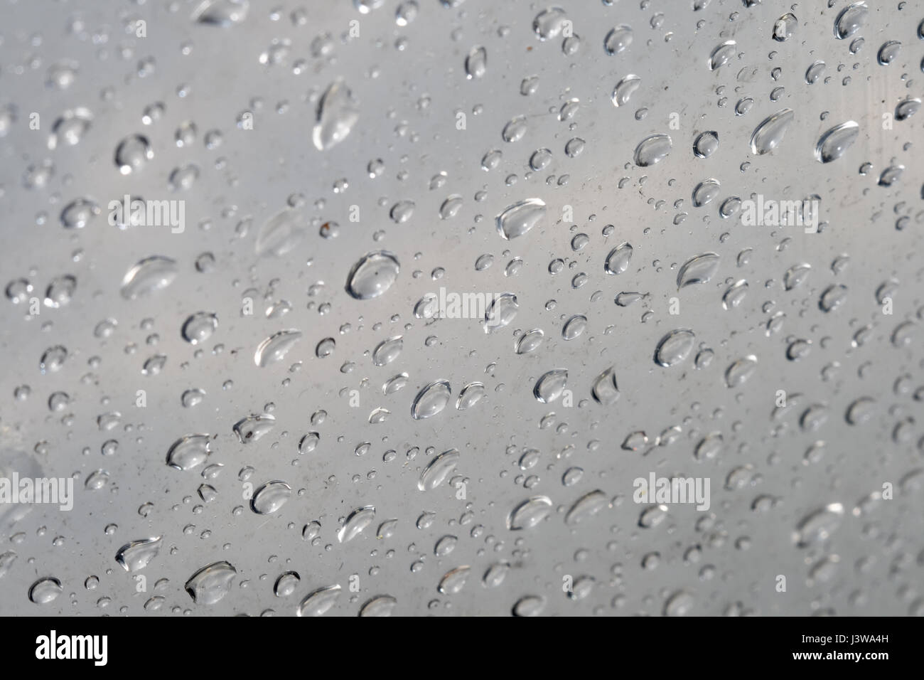 Gocce di acqua piovana su una superficie trasparente, nitidezza selettiva Foto Stock