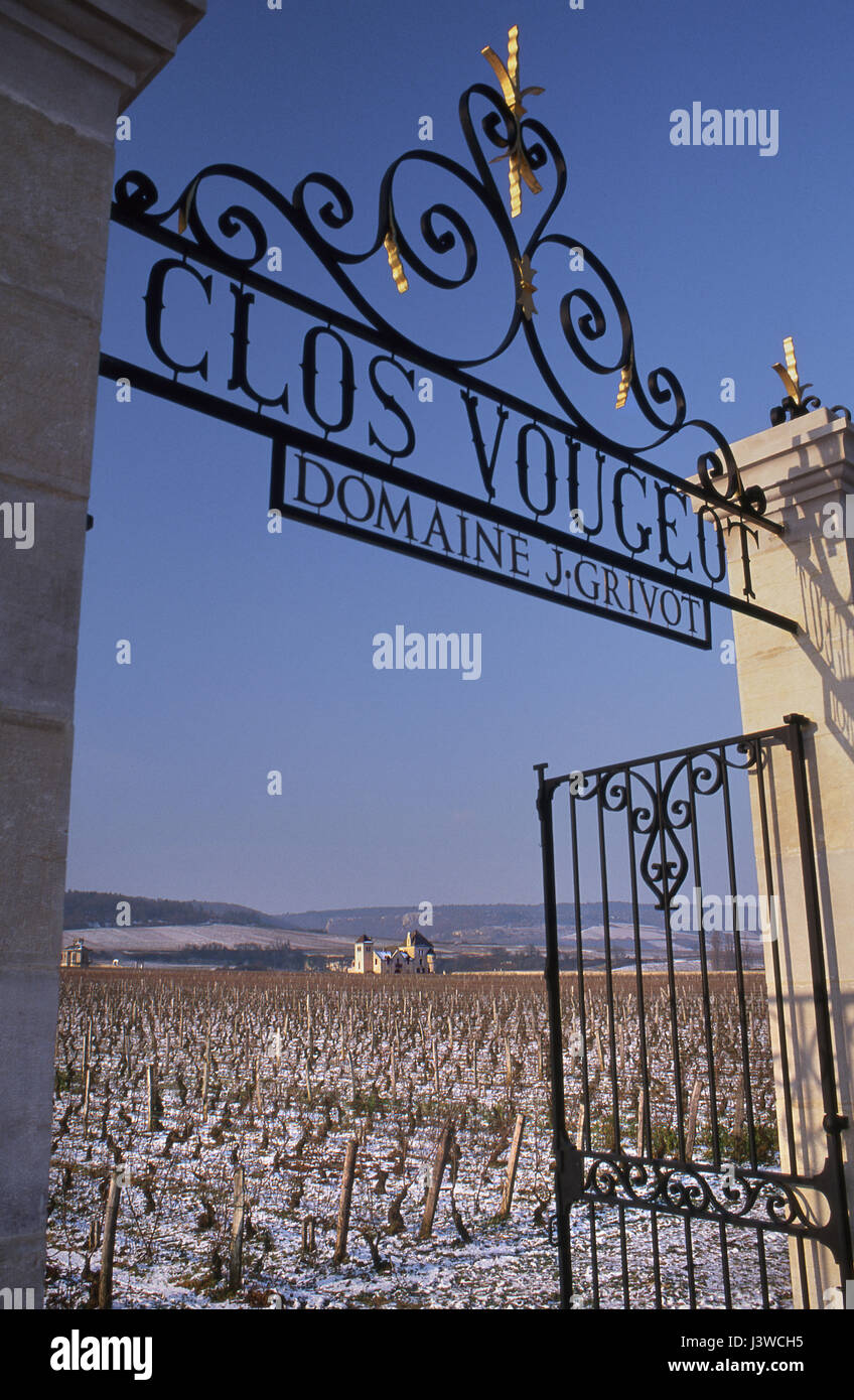 CLOS VOUGEOT NEVE INVERNALE imponente ingresso a cancello aperto al VIGNETO Grand Cru Clos de Vougeot in inverno sotto neve leggera, Vougeot, Côte d'Or, Francia. Foto Stock
