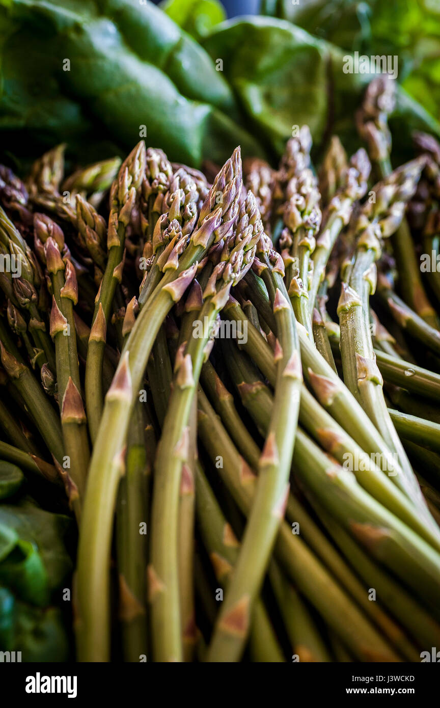 Gli asparagi di Asparagus officinalis cibo commestibile molla di gara prelibatezza vegetale i turioni degli asparagi nutriente antipasto piatto di lato Foto Stock