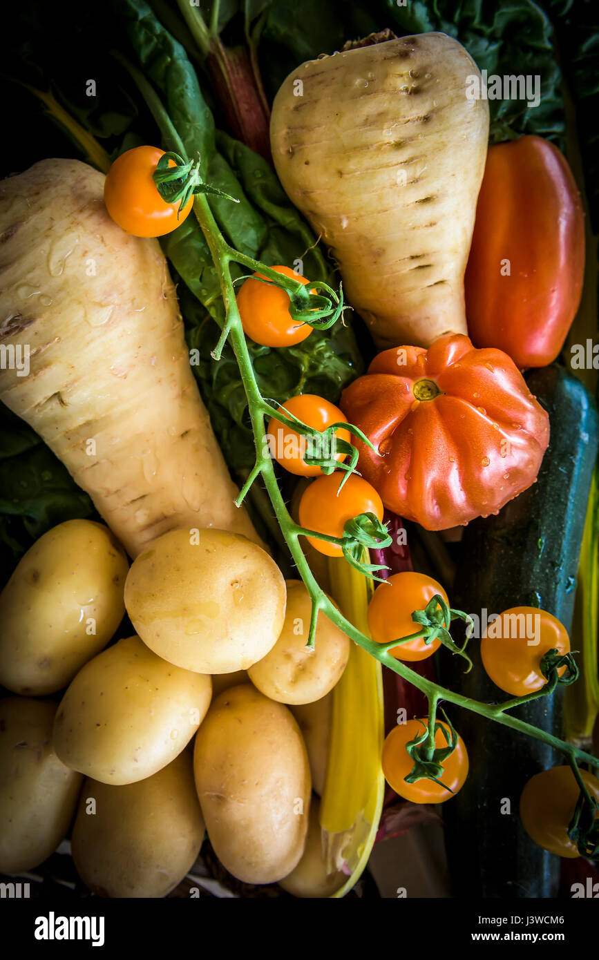 Vari ortaggi freschi alimenti fonte di nutrizione Ingredienti Pomodori pastinaca patate ingredienti per la cottura Foto Stock