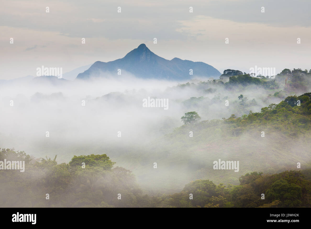Paesaggio di Panama con colline nebbie e montagne all'alba all'interno della provincia di Coclé, Cordillera Central, Repubblica di Panama, America Centrale. Foto Stock