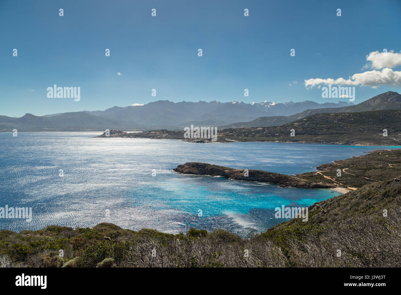 Visualizzare attraverso la macchia della Revellata e Punta di l'Oscelluccia verso la cittadella di Calvi lungo la costa occidentale della Corsica con montagne innevate dietro un Foto Stock
