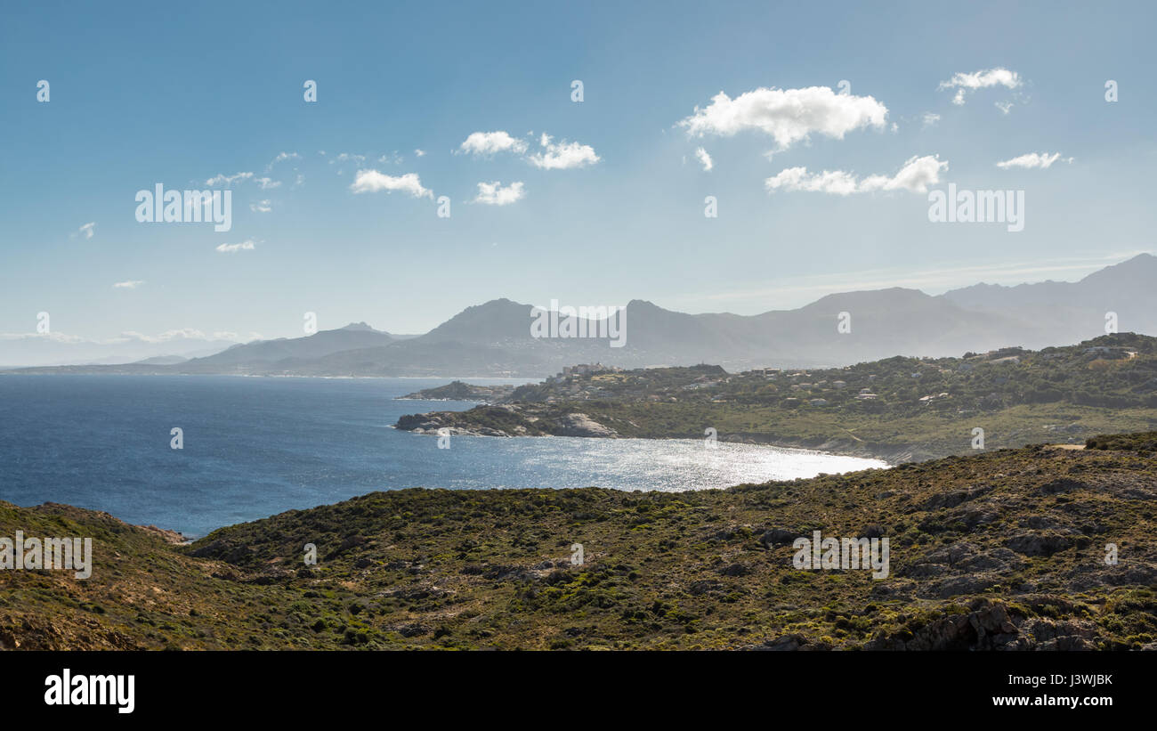 Visualizzare attraverso la macchia della Revellata verso la cittadella di Calvi lungo la costa occidentale della Corsica con le montagne alle spalle e un cielo azzurro con soffici nuvole Foto Stock