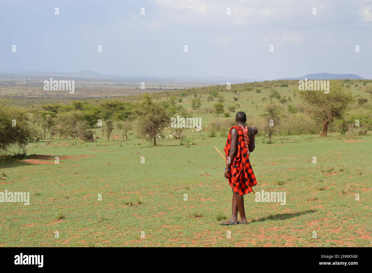 Uomo Masai Foto Stock