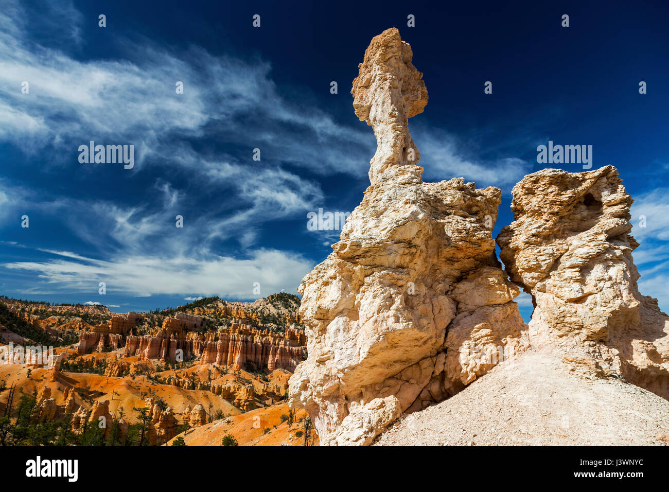 Hoodoo Rock Formations Scenic Desert Landscape View Escursionismo Bryce Canyon National Park Utah Stati Uniti Foto Stock