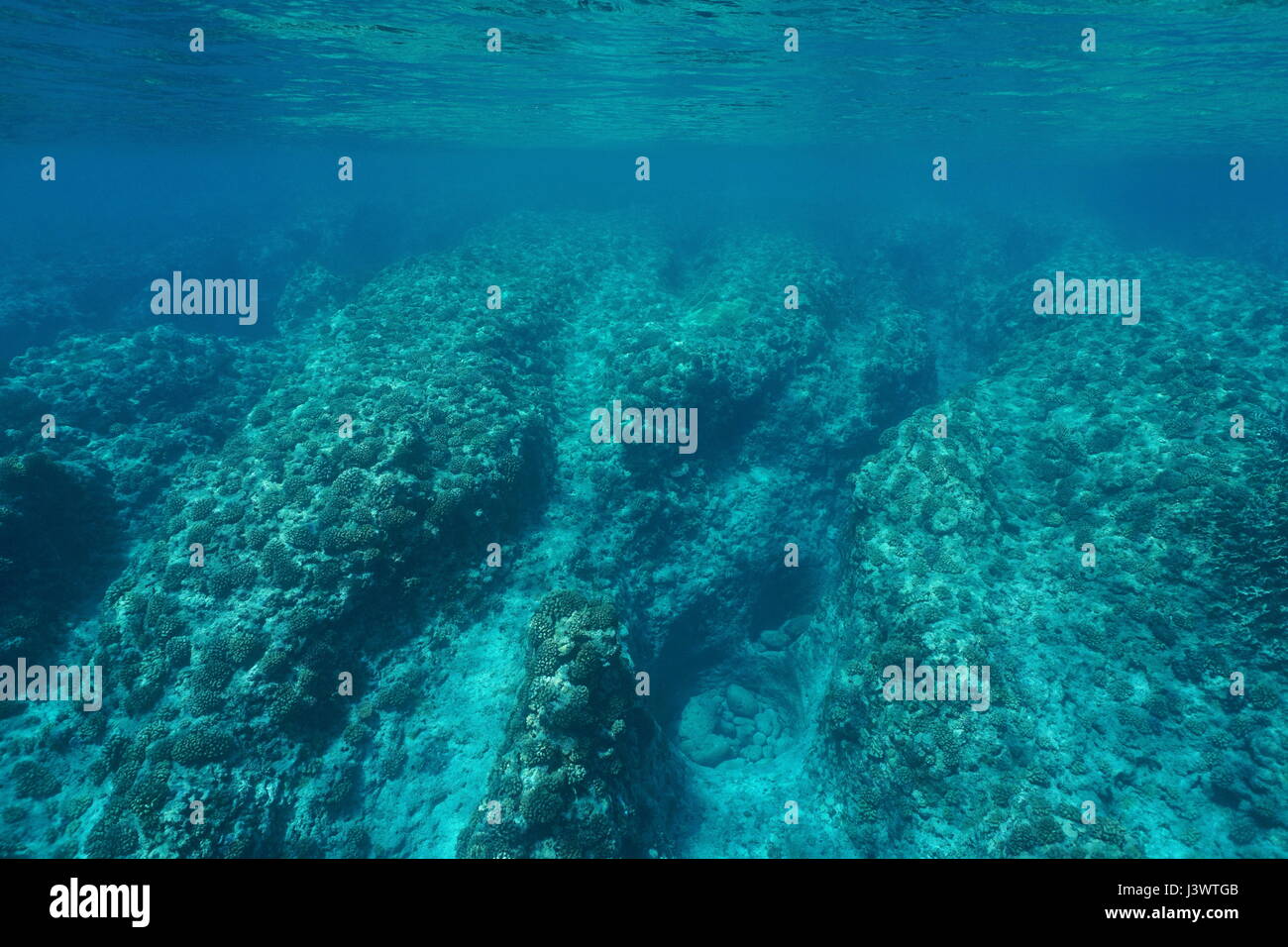 Underwater seascape rocky oceanici con coralli sulla barriera corallina esterna pendenza, oceano pacifico ,Huahine, Polinesia Francese Foto Stock