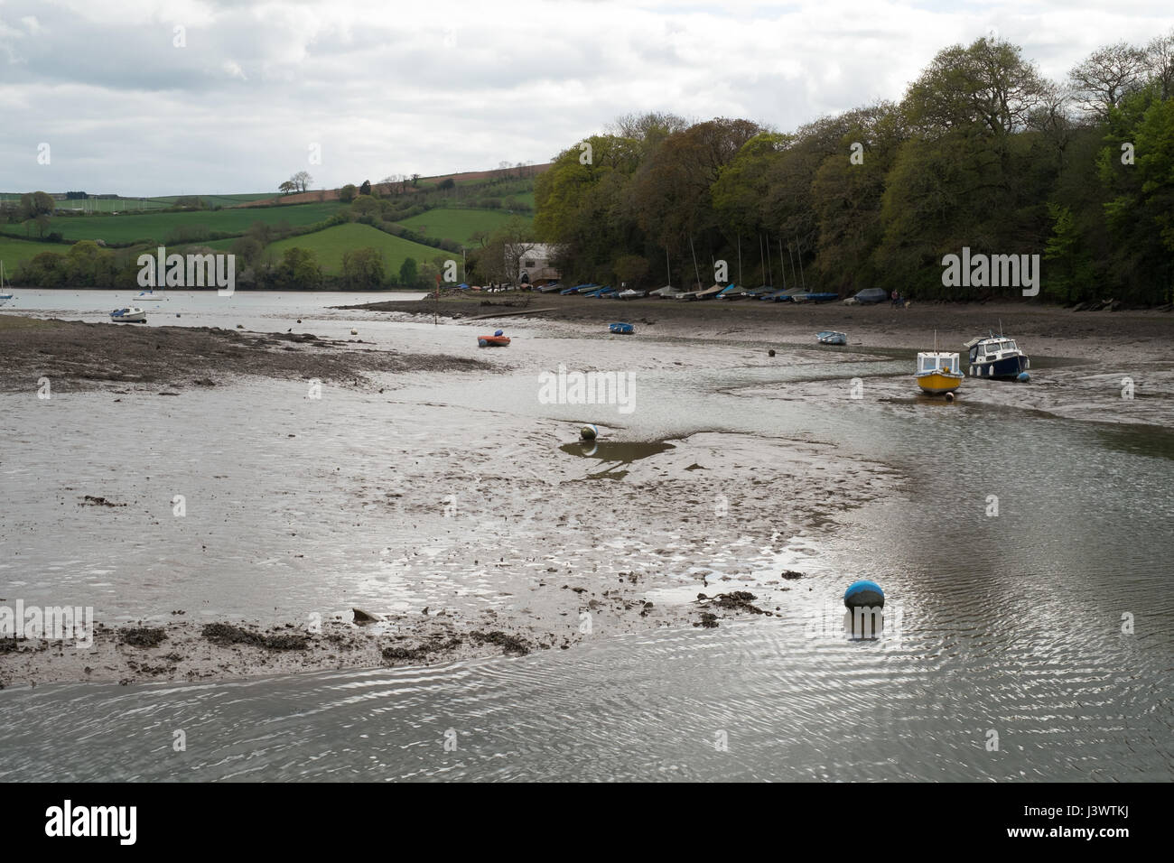 Velme a bassa marea, Stoke Gabriel, Devon, Inghilterra, Regno Unito. Foto Stock
