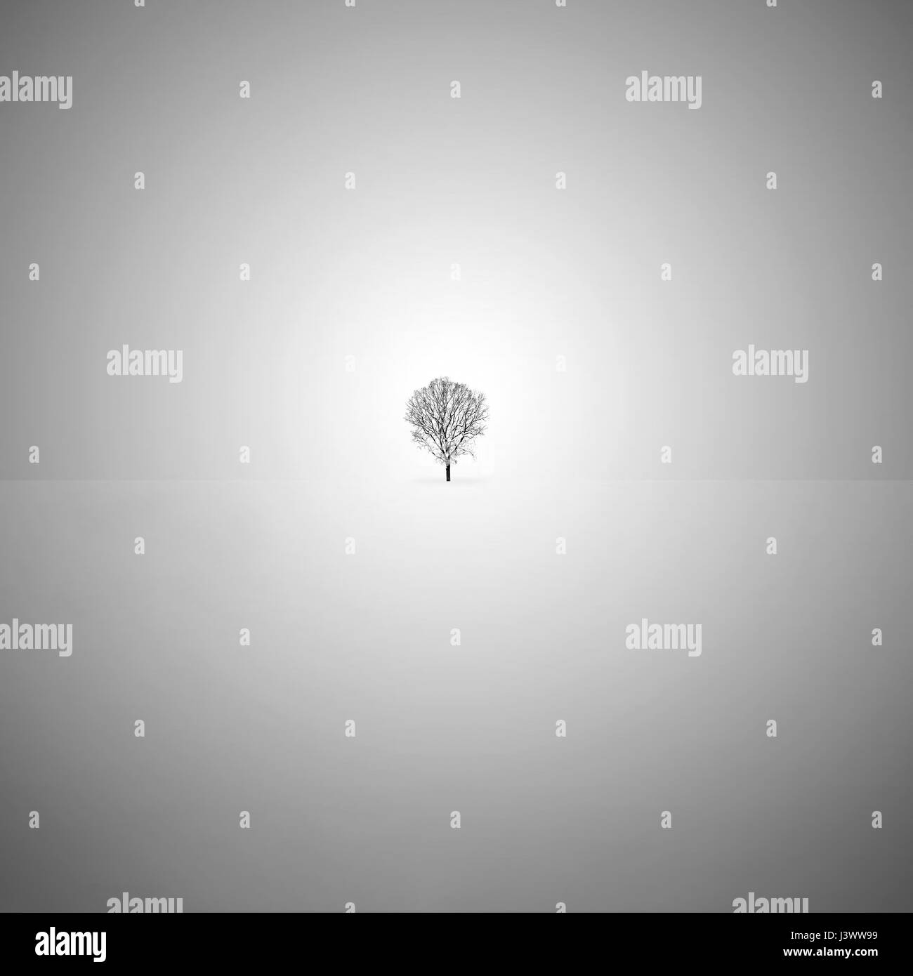 Minimalista arte foto in bianco e nero con un lone tree nella neve. Foto Stock