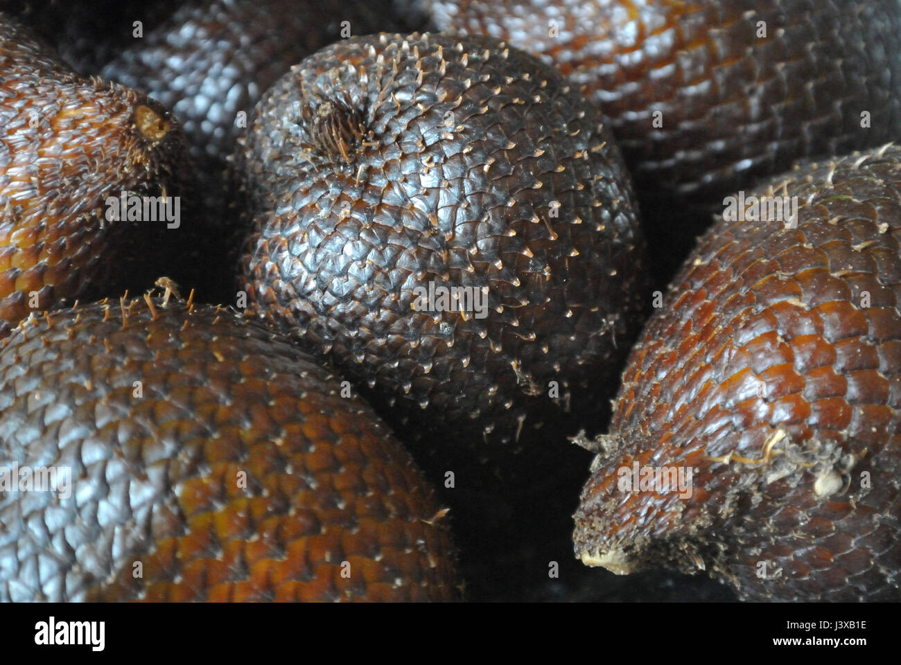 Salak, o frutto di serpente, in una pila che mostra la pelle squamosa che dà il suo nome. Foto Stock