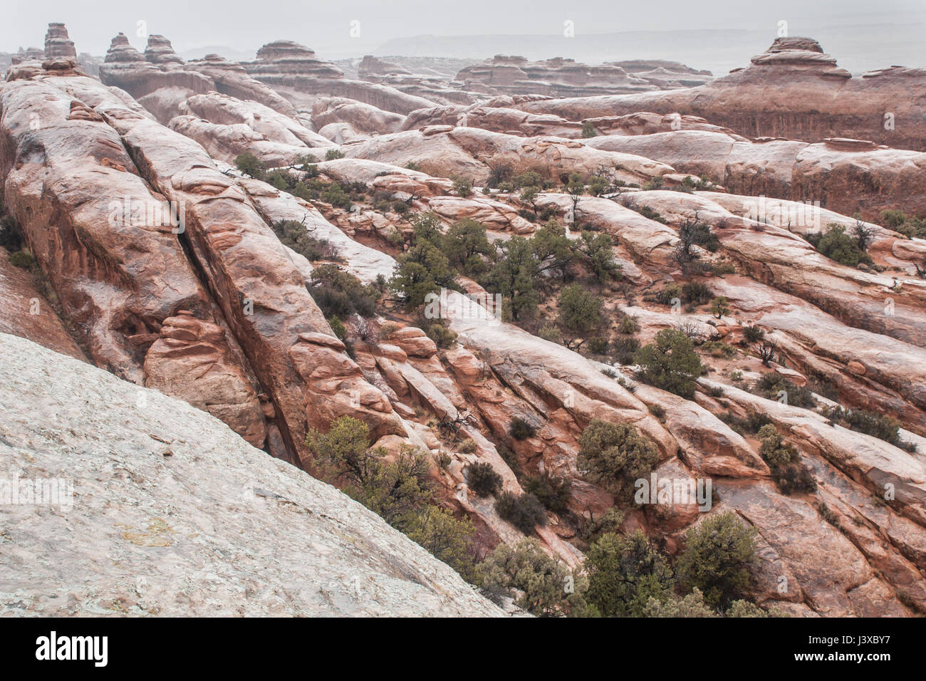 Red formazioni rocciose, bagnato dalle recenti piogge. Parco Nazionale di Arches, Utah, Stati Uniti d'America. Foto Stock