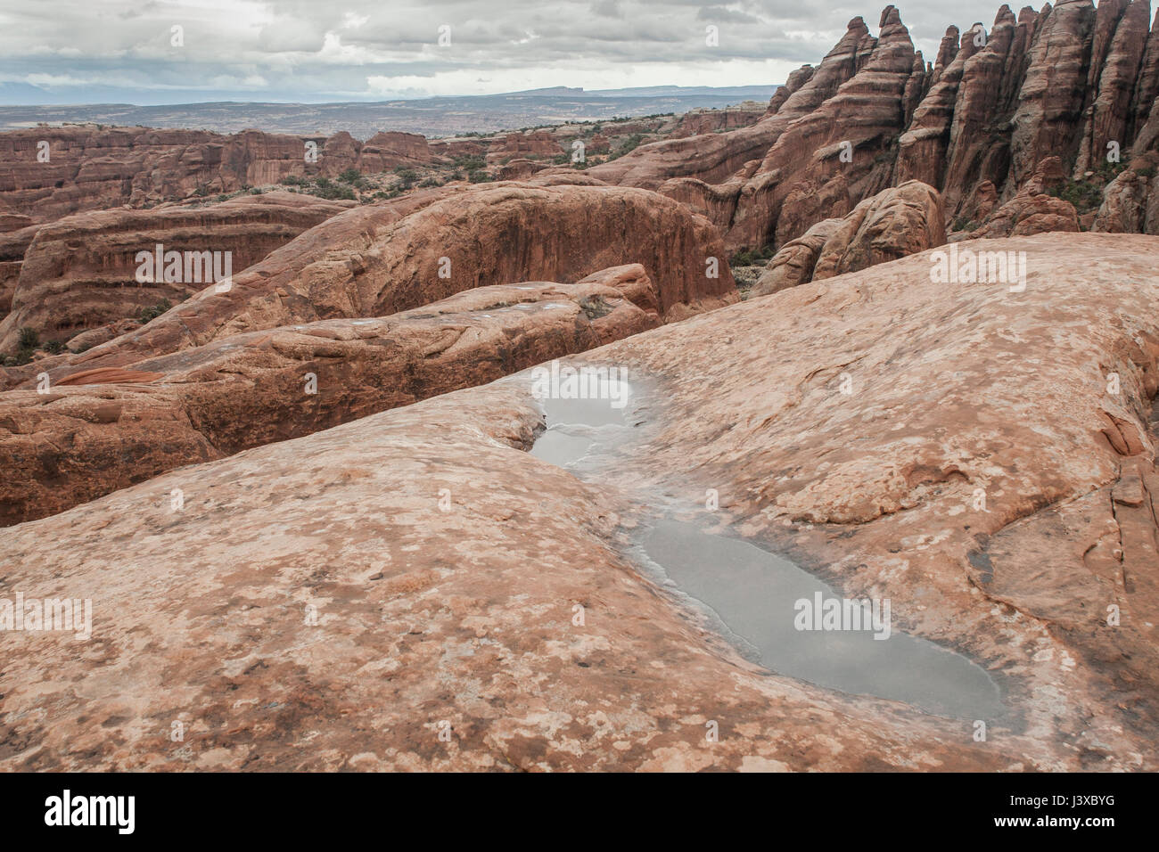 Pozze di acqua da una recente tempesta di pioggia. Parco Nazionale di Arches, Utah, Stati Uniti d'America. Foto Stock