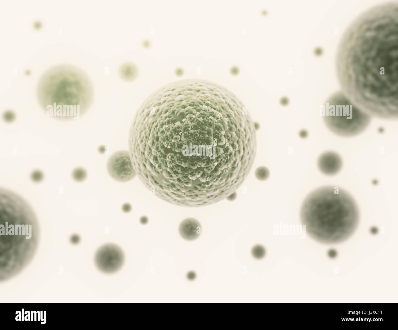 Cellule di batteri isolati su sfondo bianco Foto Stock