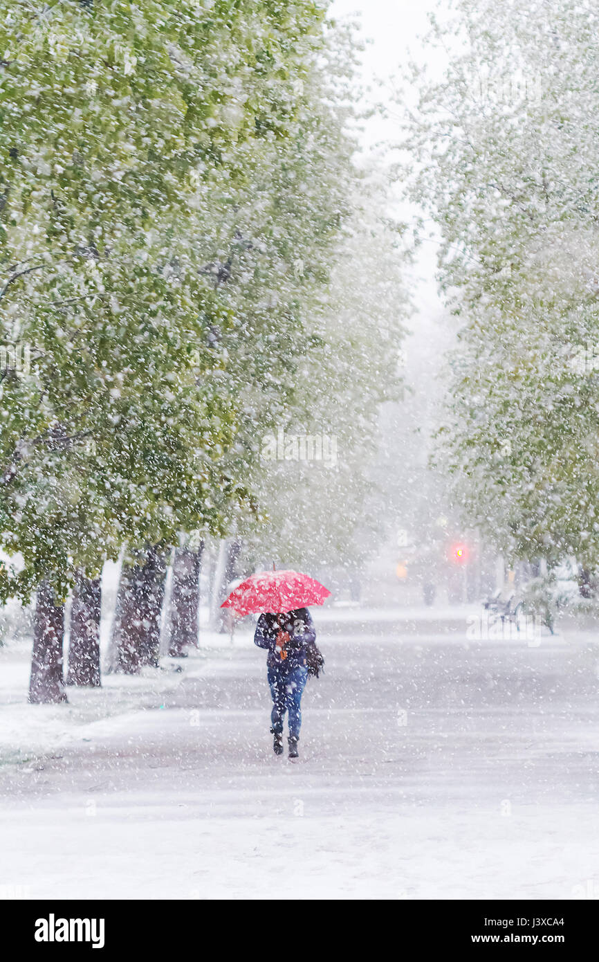Ragazza con ombrello rosso a piedi nella tempesta di neve in aprile. Il riscaldamento globale effetto Foto Stock
