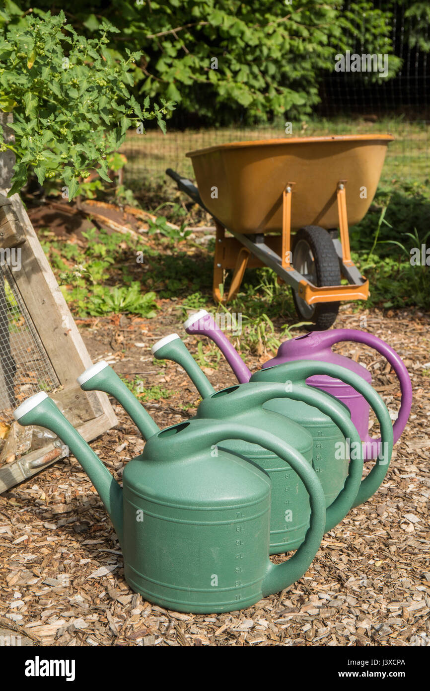 Riga di plastica innaffiatoi per mano di irrigazione di un giardino in Issaquah, Washington, Stati Uniti d'America Foto Stock