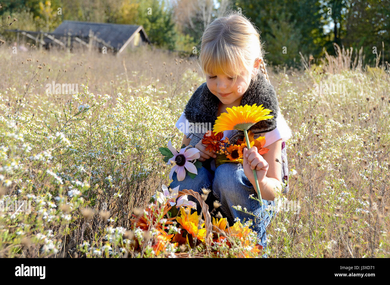 Bambina in autunno campo con fiori Foto Stock