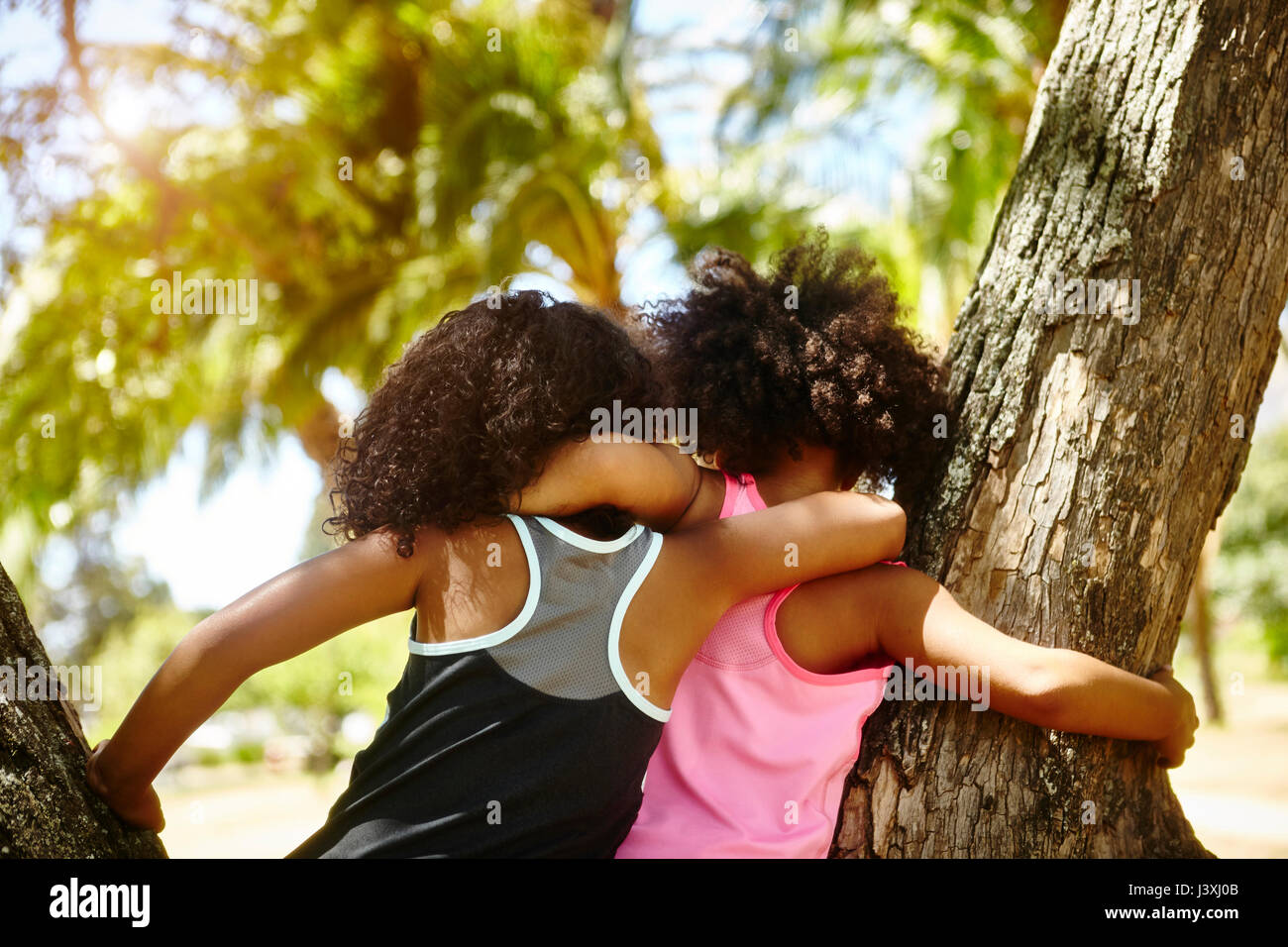 Due giovani sorelle giocando su albero. vista posteriore Foto Stock