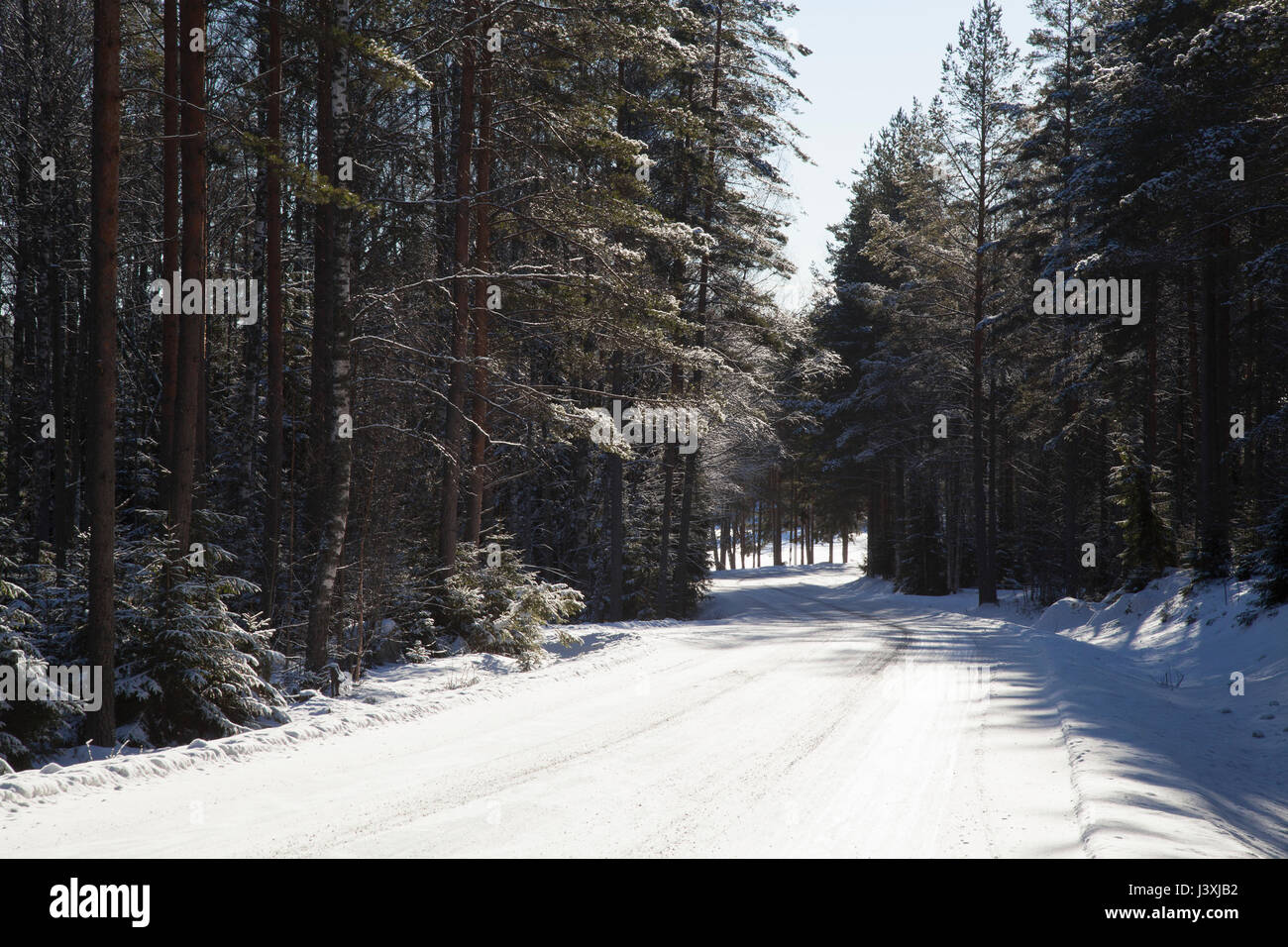 Rurale coperto di neve strada attraverso la foresta Foto Stock