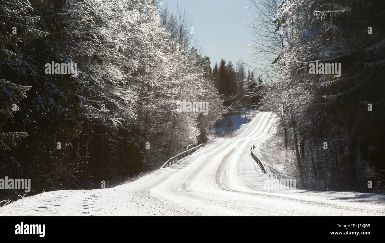 Rurale coperto di neve strada attraverso la foresta Foto Stock