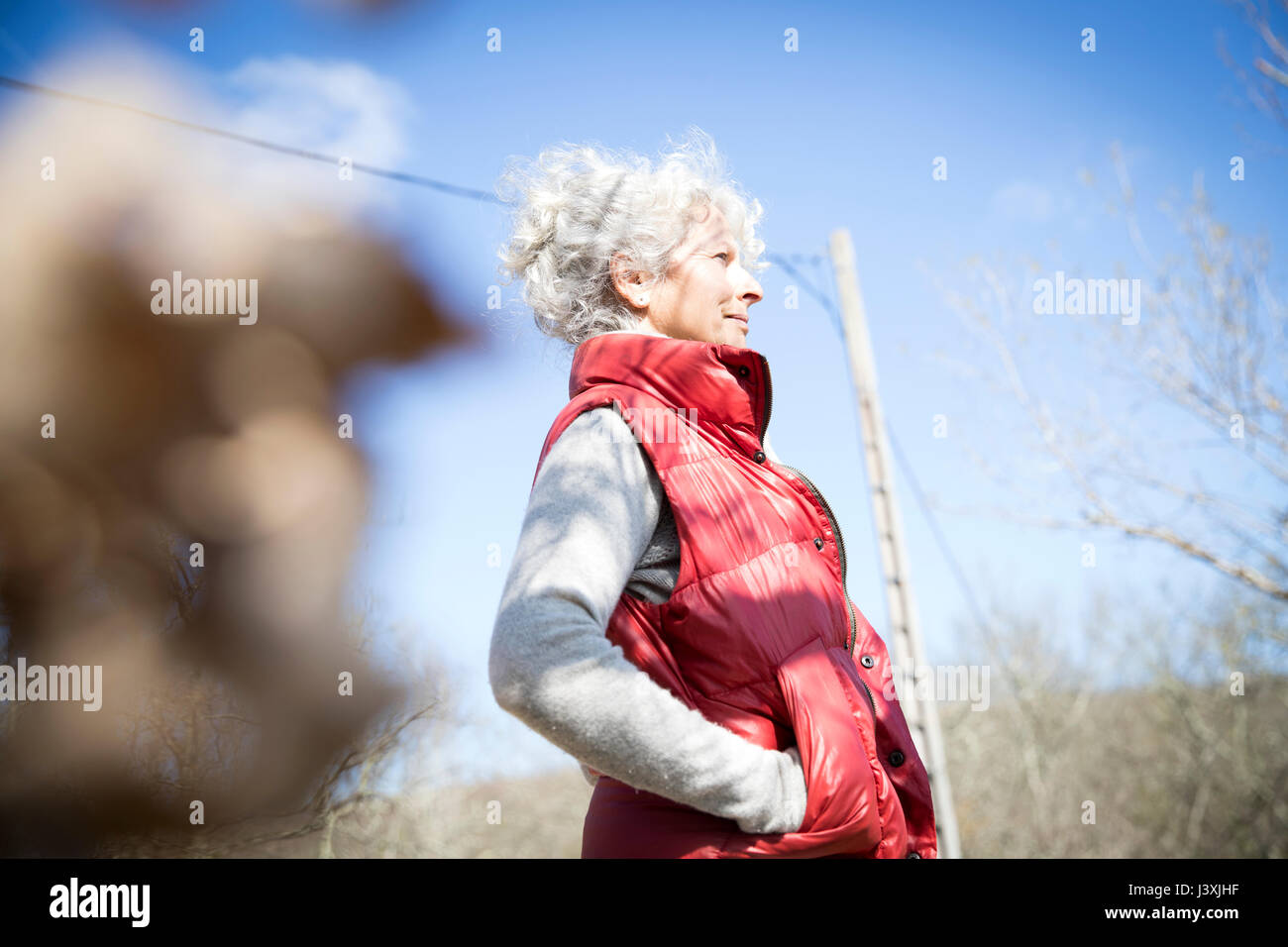 Ritratto di capelli grigi donna che guarda lontano, Bruniquel, Francia Foto Stock