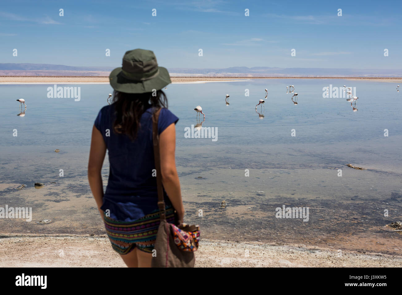 Immagini durante un viaggio a San Pedro de Atacama, Cile. Foto Stock