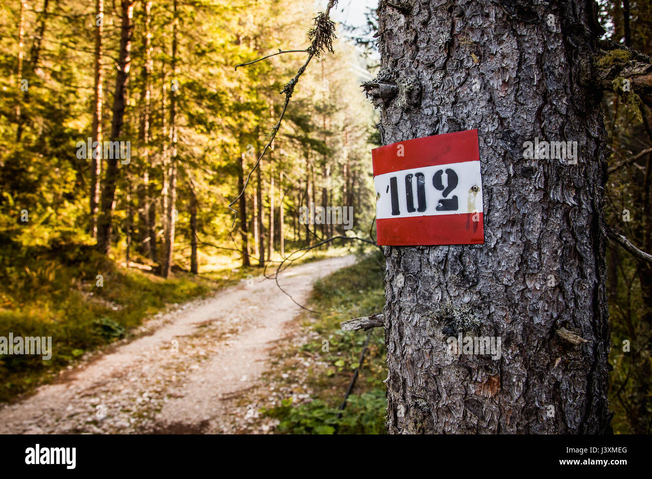 Indicatore di percorso 102 delle Dolomiti italiane vicino a Drei Zinnen park. Foto Stock