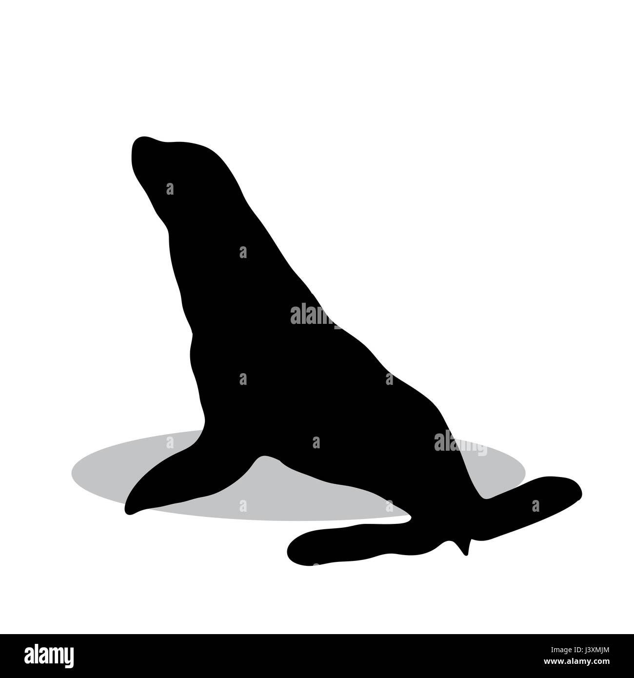 Phoca nautico silhouette nero animale Illustrazione Vettoriale