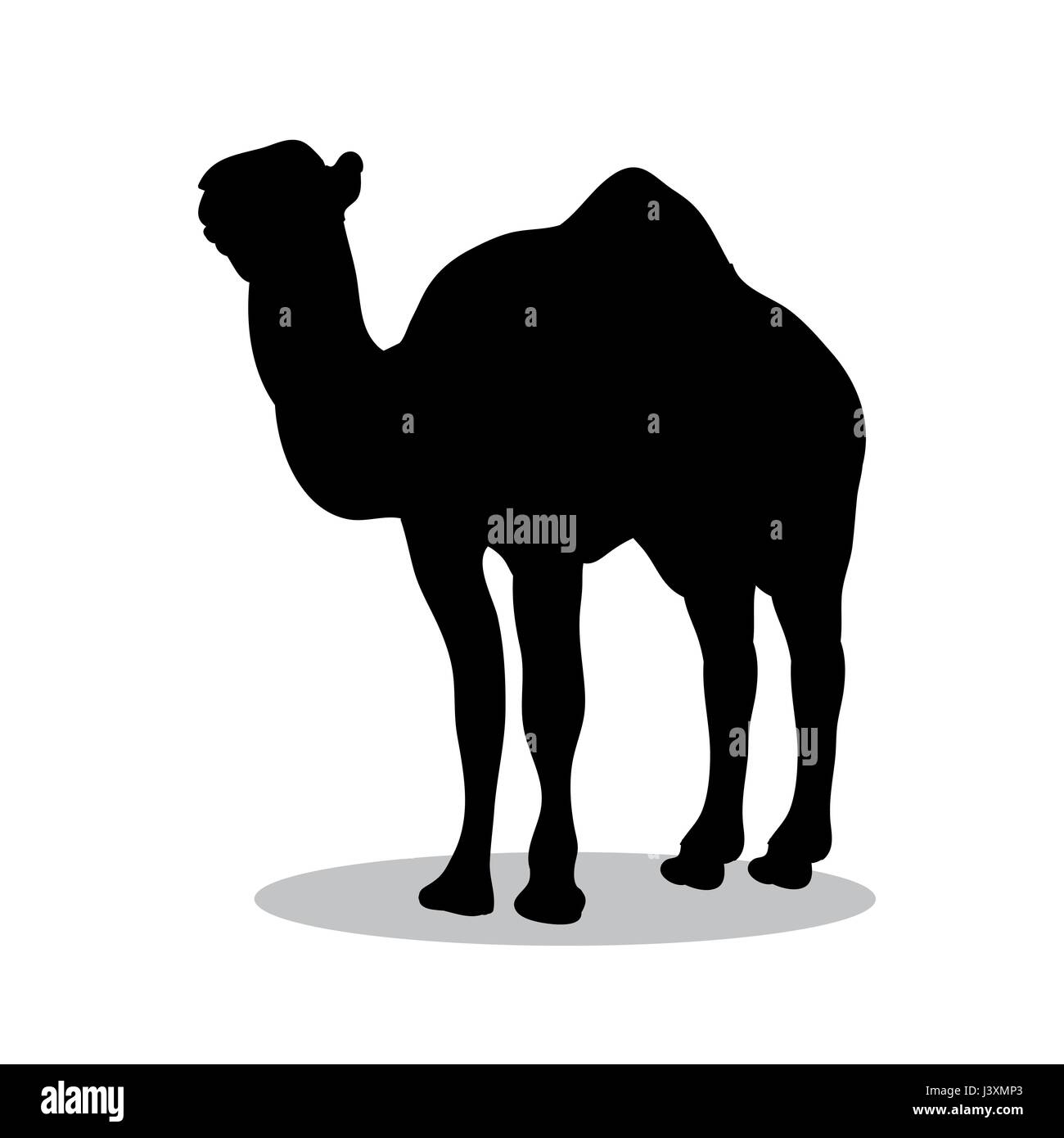 Camel mammifero nero animale silhouette Illustrazione Vettoriale