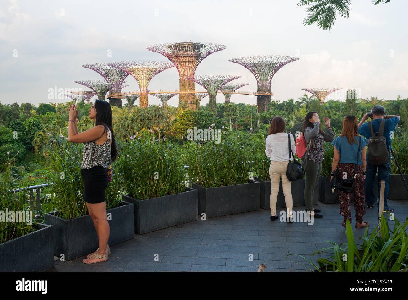 05.05.2017, Singapore, Repubblica di Singapore, in Asia - i turisti scattate delle fotografie del Supertrees nei giardini dalla baia theme park. Foto Stock
