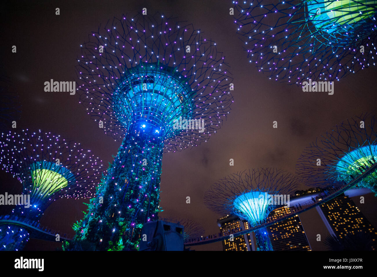 06.05.2017, Singapore, Repubblica di Singapore, in Asia - Light show del Supertrees presso i giardini dalla baia theme park. Foto Stock