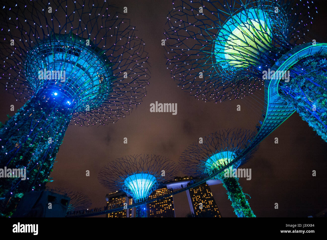 06.05.2017, Singapore, Repubblica di Singapore, in Asia - Light show del Supertrees presso i giardini dalla baia theme park. Foto Stock