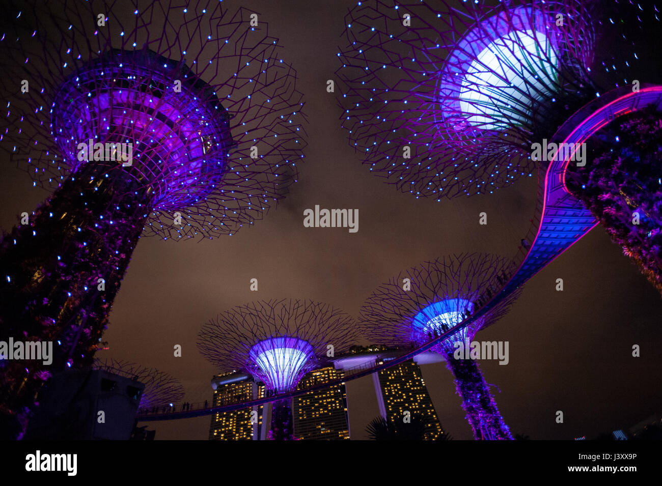 06.05.2017, Singapore, Repubblica di Singapore, in Asia - Light show del Supertrees presso i giardini dalla baia theme park. Foto Stock