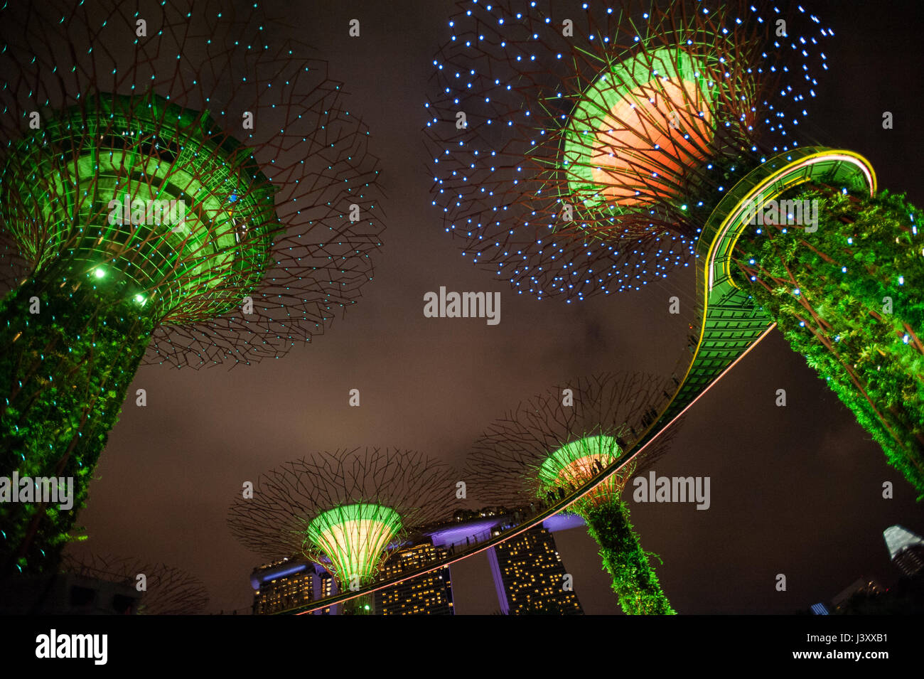 06.05.2017, Singapore, Repubblica di Singapore, in Asia - Light show del Supertrees presso i giardini dalla baia theme park. Foto Stock