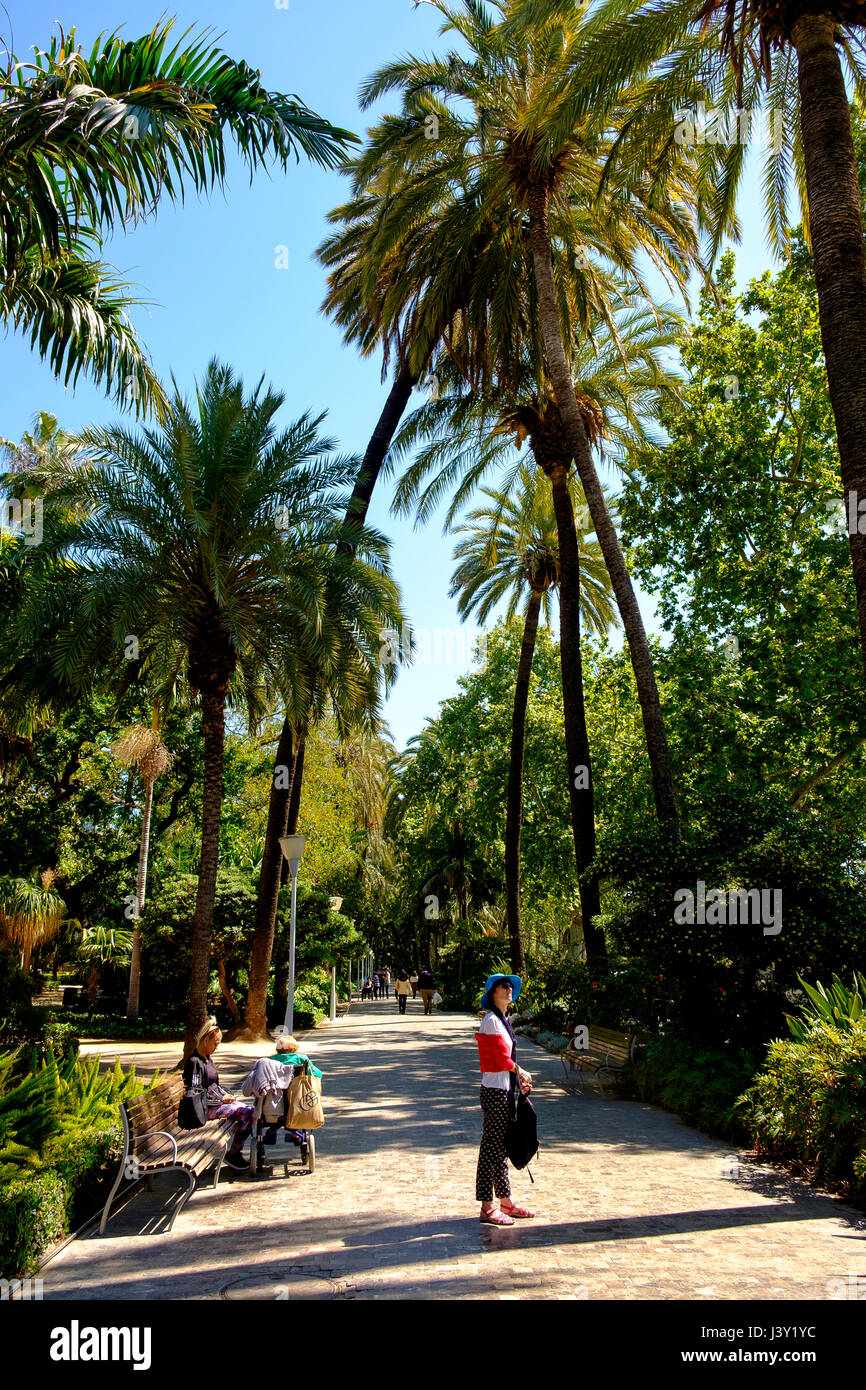 Parque de Malaga, giardini botanici appena dietro al porto di Malaga Foto Stock