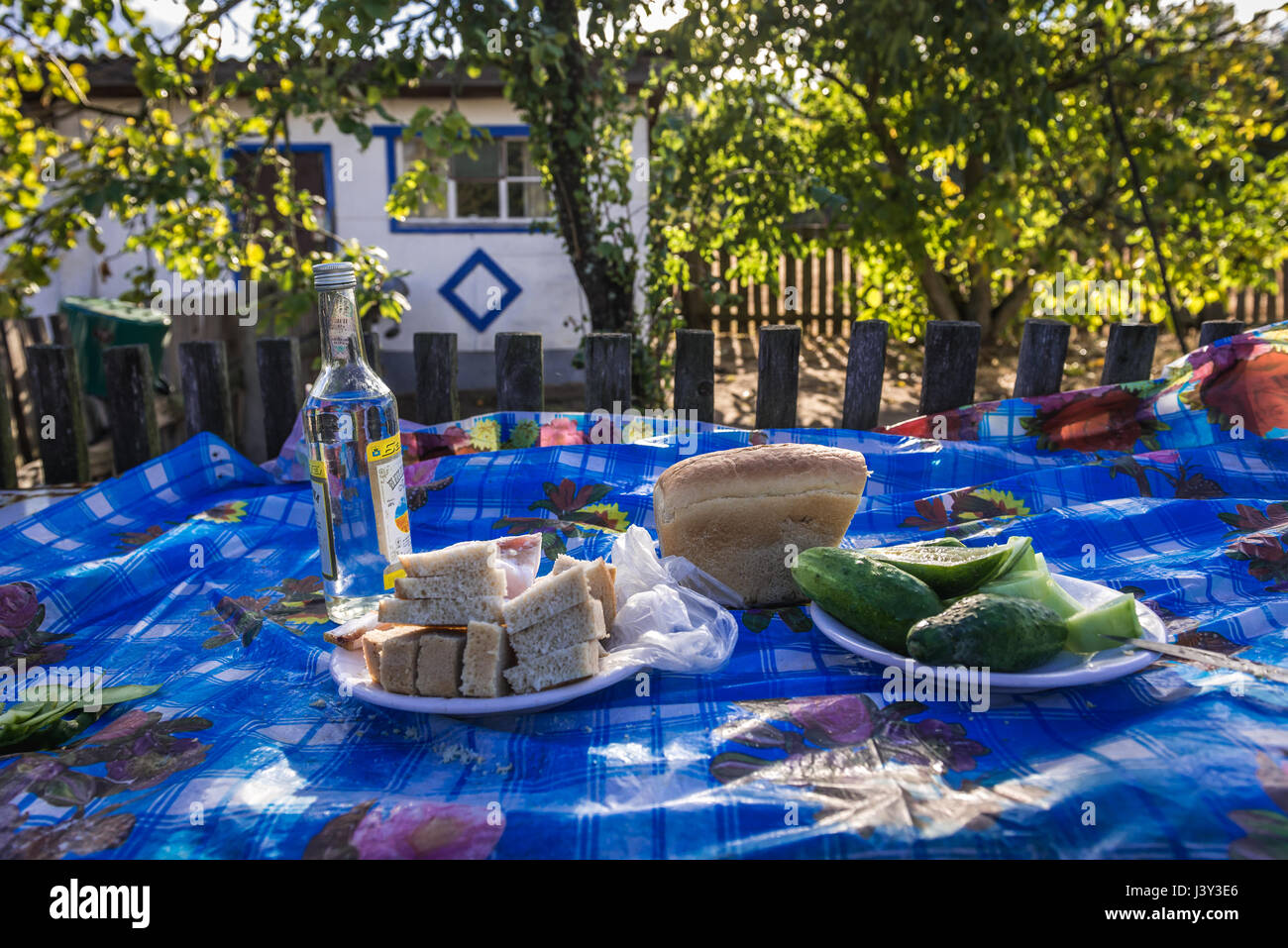 La vodka e zakuska (spuntini) preparato per i turisti da rimpatriando residenti (chiamato Samosely) di Kupuvate villaggio nella zona di Chernobyl di alienazione, Ucraina Foto Stock