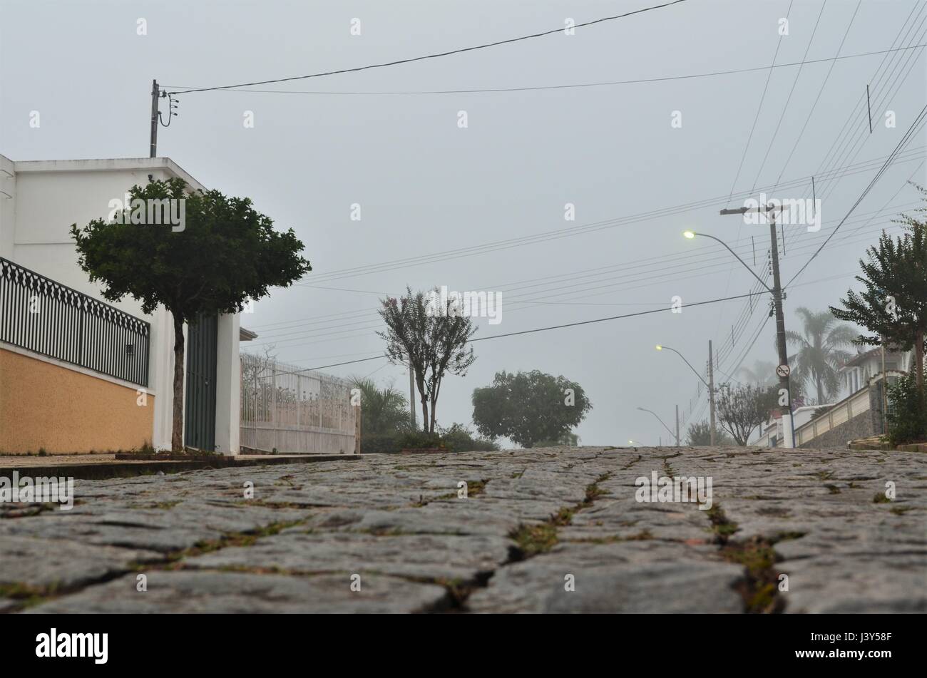 Nebbia all'alba Foto Stock