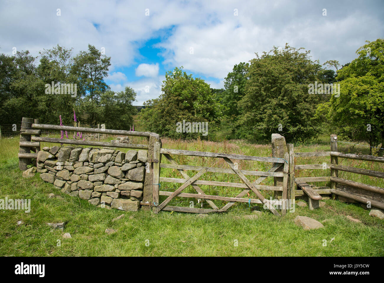 Vecchio cancello e muro con stille, Longnor, Staffordshire.UK Foto Stock