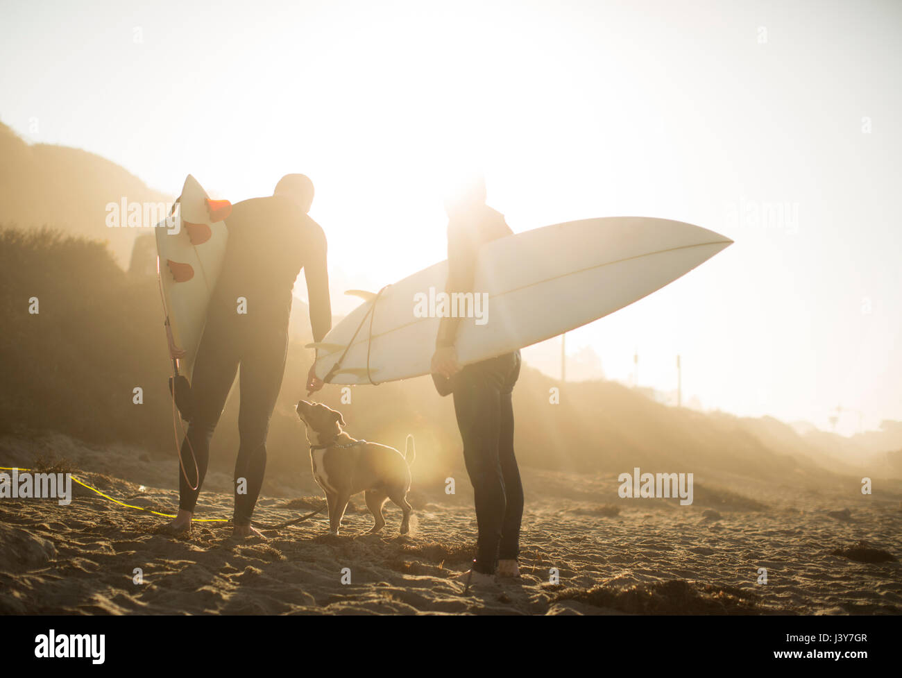 Surfisti con cane nella luce del sole tenendo le tavole da surf sulla spiaggia, Malibu, California, Stati Uniti d'America Foto Stock