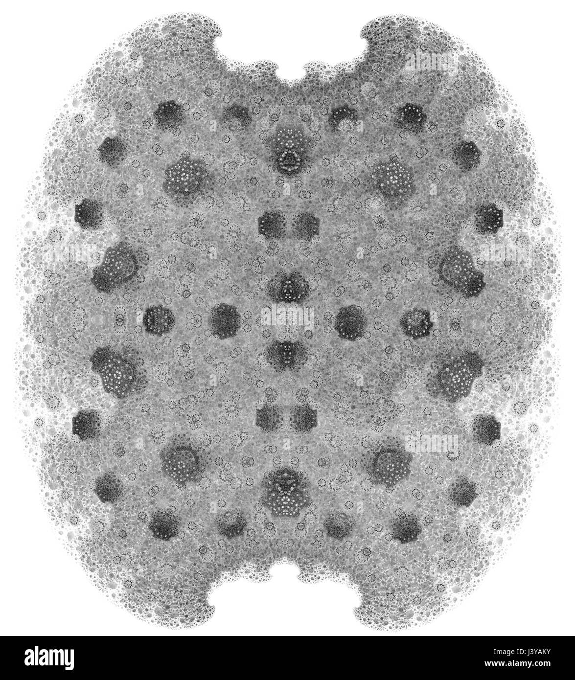 Monocromatico frattale astratto illustrazione per il design creativo Foto Stock